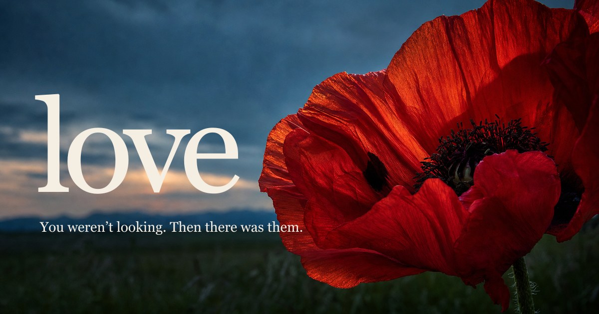 avoid.love project artwork: a scarlet poppy against the evening sky.